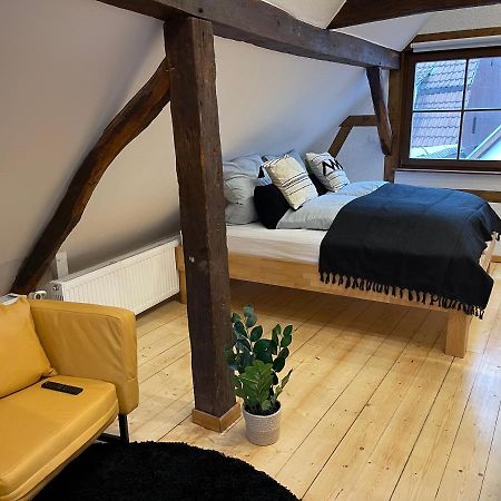 Appartamento Hideaway Im Odenwald Nahe Heidelberg Eberbach  Esterno foto