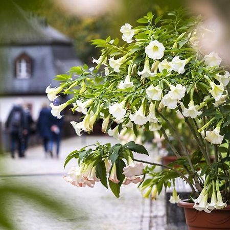 Appartamento Hideaway Im Odenwald Nahe Heidelberg Eberbach  Esterno foto