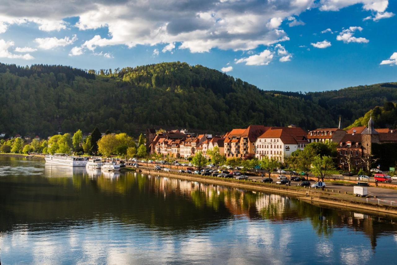 Appartamento Hideaway Im Odenwald Nahe Heidelberg Eberbach  Esterno foto