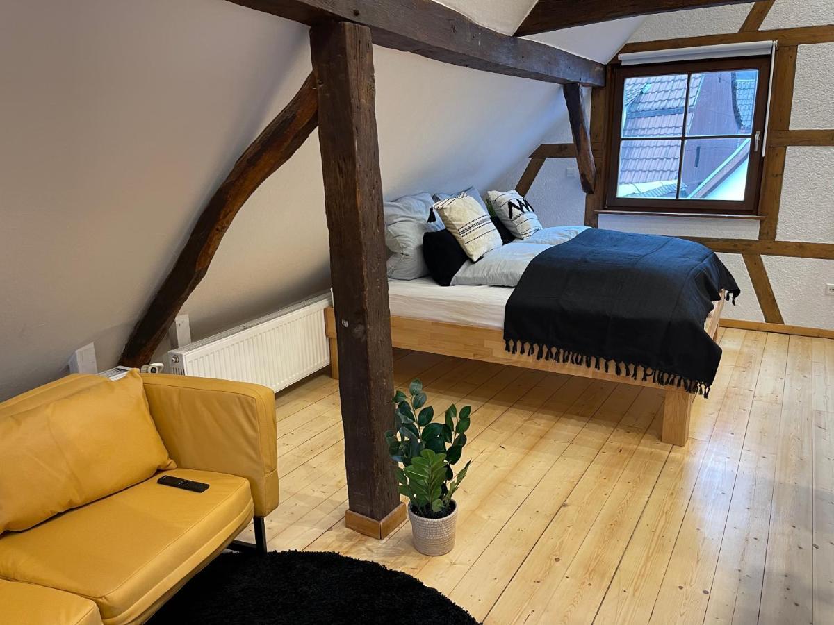 Appartamento Hideaway Im Odenwald Nahe Heidelberg Eberbach  Esterno foto