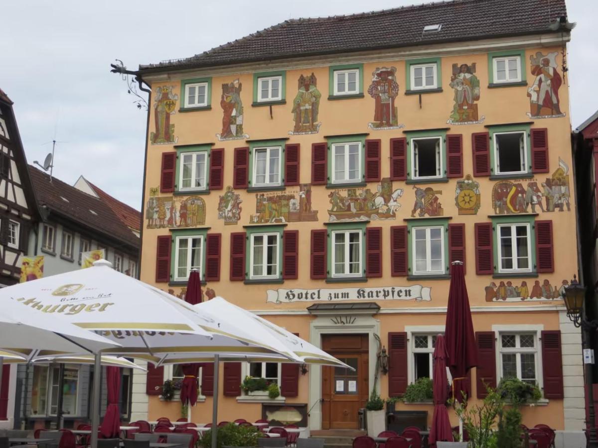 Appartamento Hideaway Im Odenwald Nahe Heidelberg Eberbach  Esterno foto